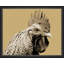 Graphic Rooster 1 Print