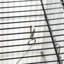 Cage à oiseau 45 po