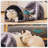 Velvet Nest Pet Bed