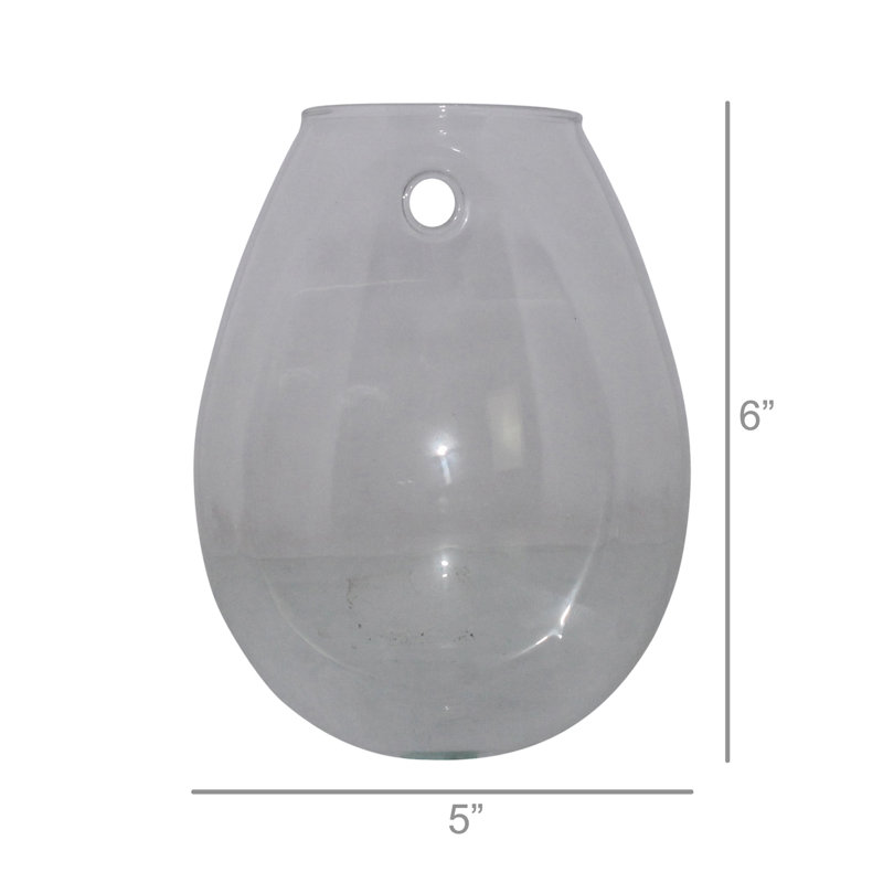 Terrarium en verre Jsoeph, H 6 po x l 4 po x P 5 po