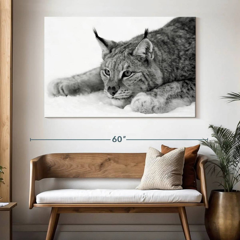 Brampt Lynx BW, 34" H x 51" W
