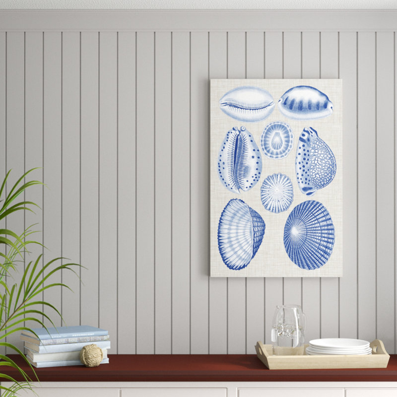 Navy & Linen Shells I by Vision Studio - Painting, 91cm H x 61cm W, Wrapped Canvas
