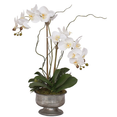 Arrangement floral phalaenopsis orchidées en pot real touch