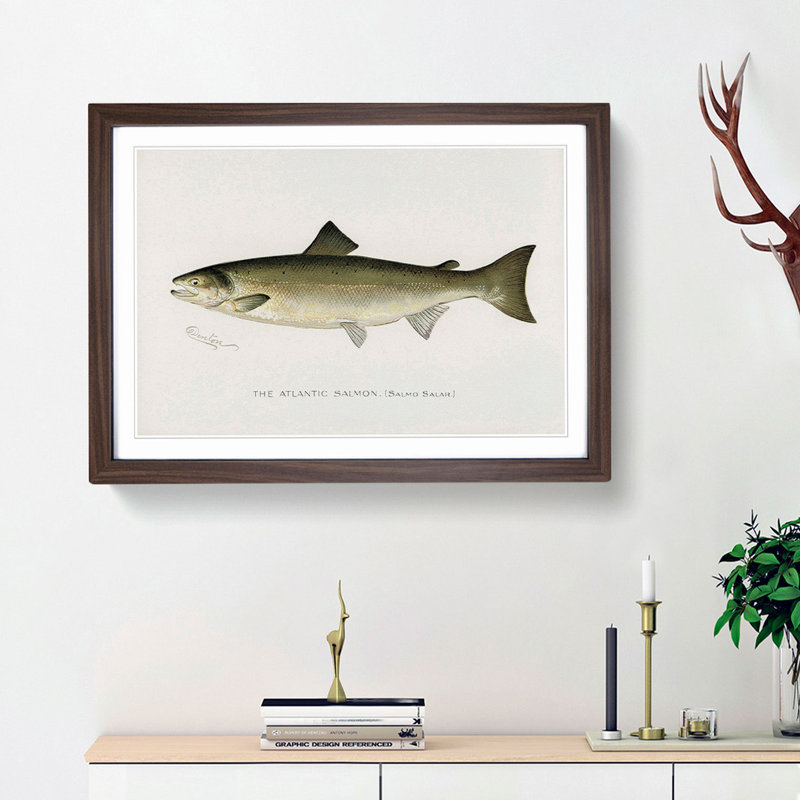 Atlantic Salmon by Sherman F. Denton - Single Picture Frame Painting, 24cm H x 33cm W x 2cm D, Walnut Framed