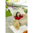 Carius 1 Person Classic Hammock-217690668
