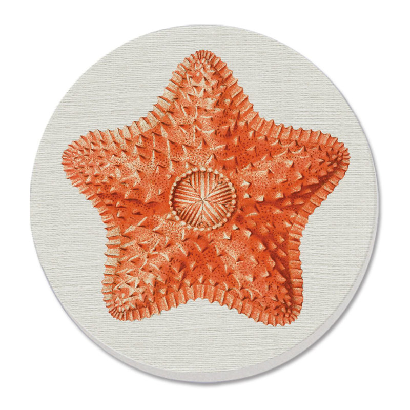 Sous-verre rond et simple Starfish Dream