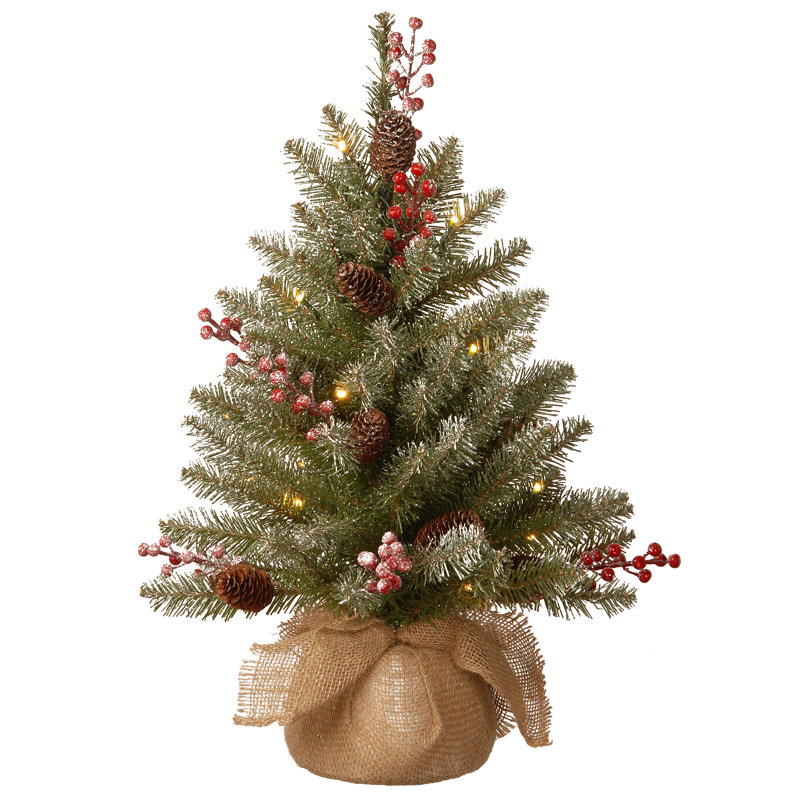 Le Holiday Aisle® 2 pi. Sapin Dunhill avec lumières DEL