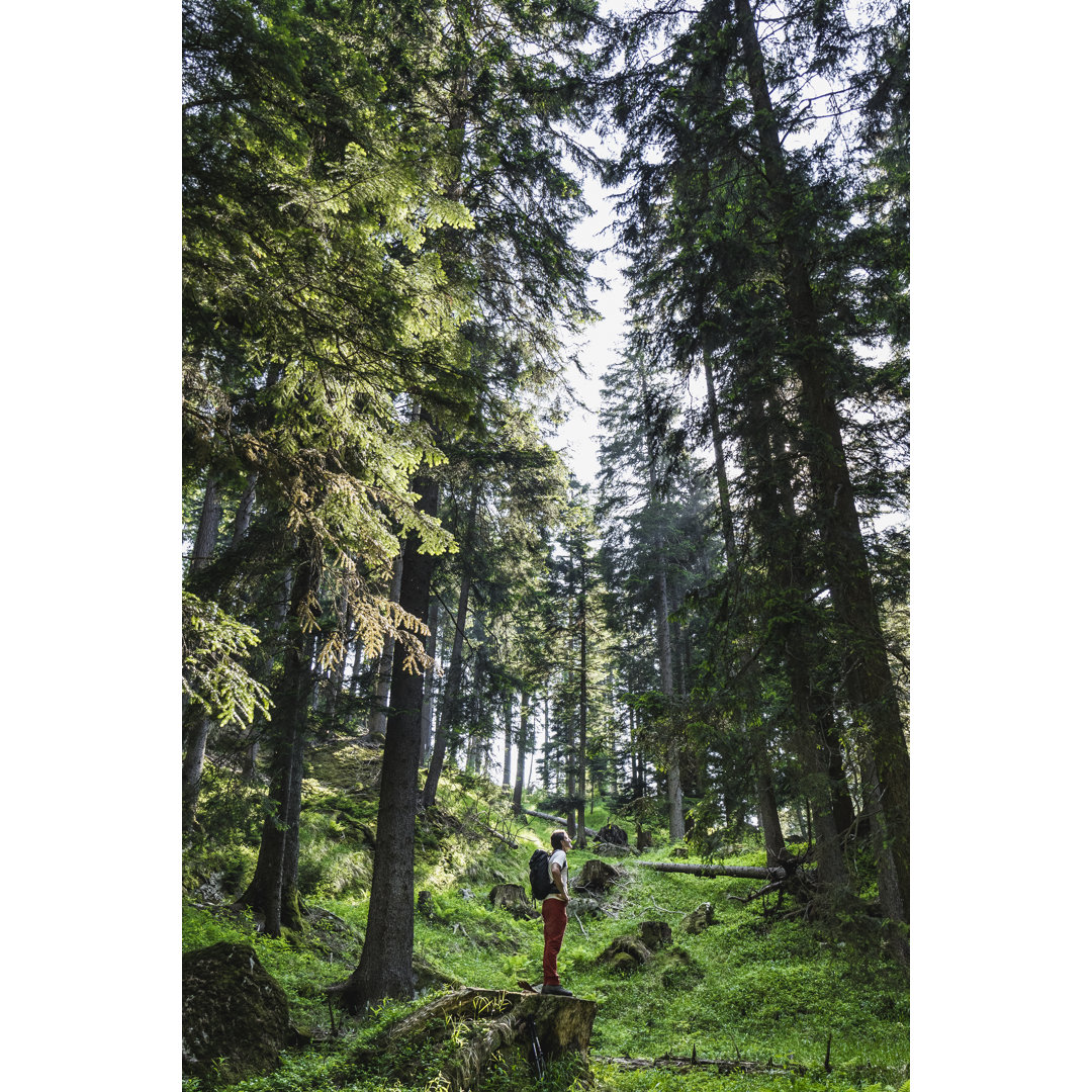 Mann Wanderer in den Wald von Deimagine - Druck auf Leinwand ohne Rahmen