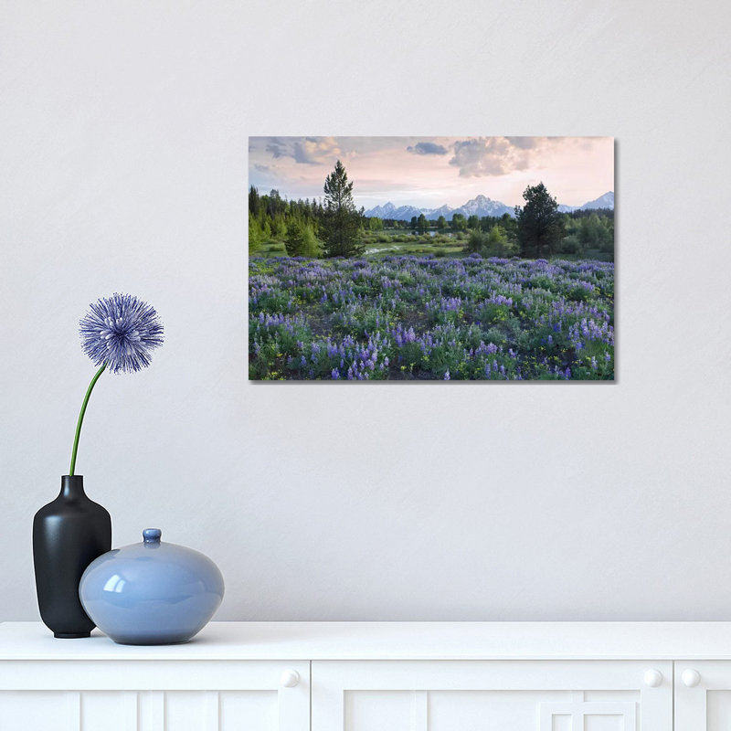 Lupine Meadow, Grand Teton National Park, Wyoming by Tim Fitzharris - Wrapped Canvas Print, 30.48 cm H x 45.72 cm W
