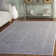 Calidia Floral Light Gray/Cream Area Rug