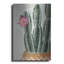 «Flowering Cactus» par House Fenway-1545712473