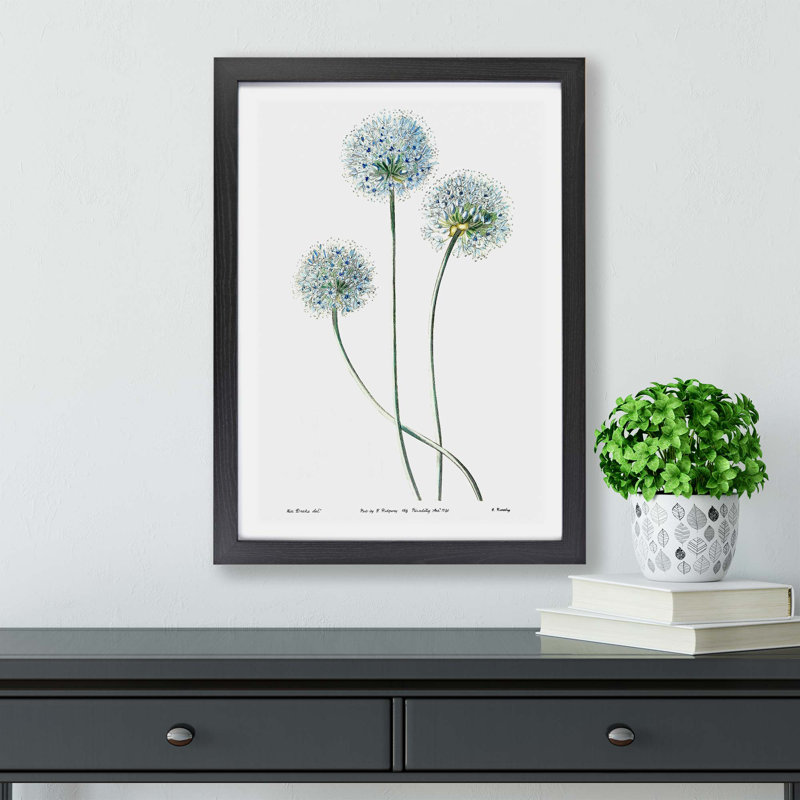 Dandelion Flowers - Framed Print, 33cm H x 45cm W x 2cm D, Black