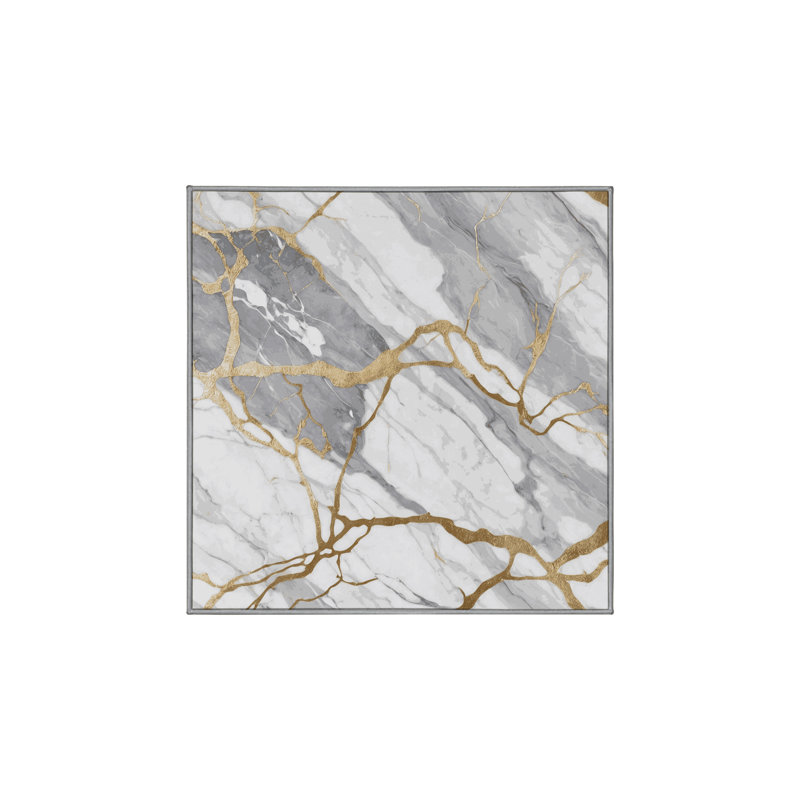 Machine Washable Gray Area Rug, Square 5'