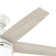 44" Bardot 5 - Blade Ceiling Fan With Lights and Pull Chains