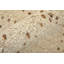 Truxel Modern Polka Dots, Tan/Brown Area Rug-2020585951