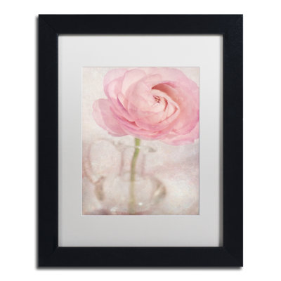 Single Rose Pink Flower by Cora Niele - Single Picture Frame Print on Canvas