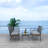 Dianna 4 - Person Patio Conversation Set with Cushions-393786658-294992646