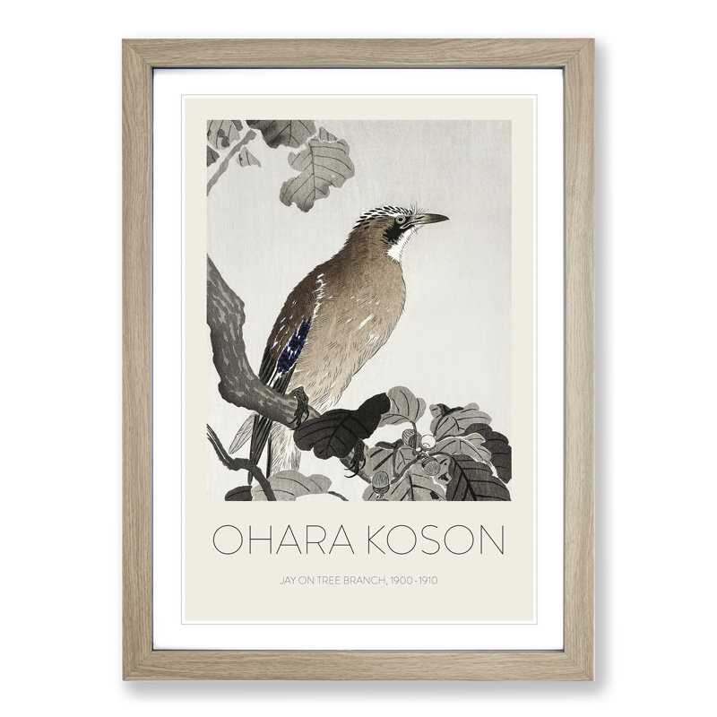 Jay on a Tree Branch by Ohara Koson - Picture Frame Art Prints, Oak Framed, 65cm H x 48cm W x 2cm D