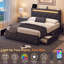 Full Size Bed Frame With LED Light And Storage Drawers-382468614-382468608
