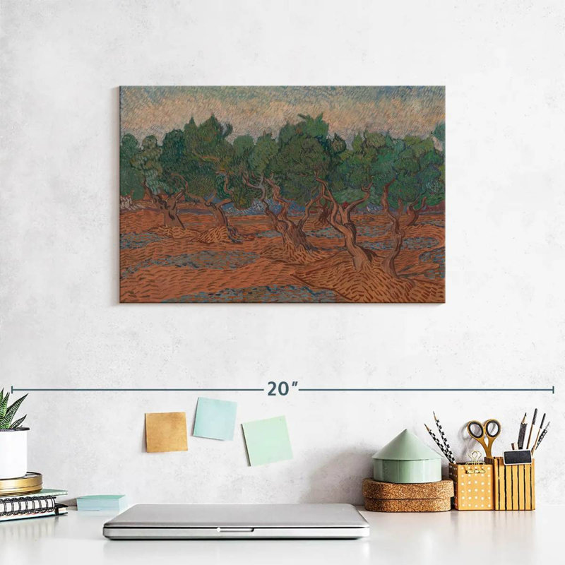 Harnek Olive Grove 1889, H 8 po x l 12 po