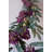 BOTANICA #9022