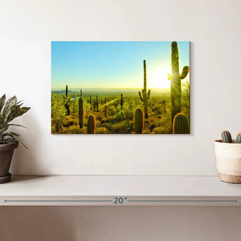 Harnek Sunny Arizona Cactus, 8" H x 12" W