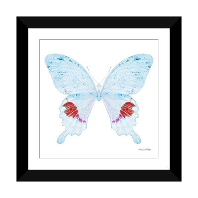 « miss papillon x-ray xxii », impression sur toile