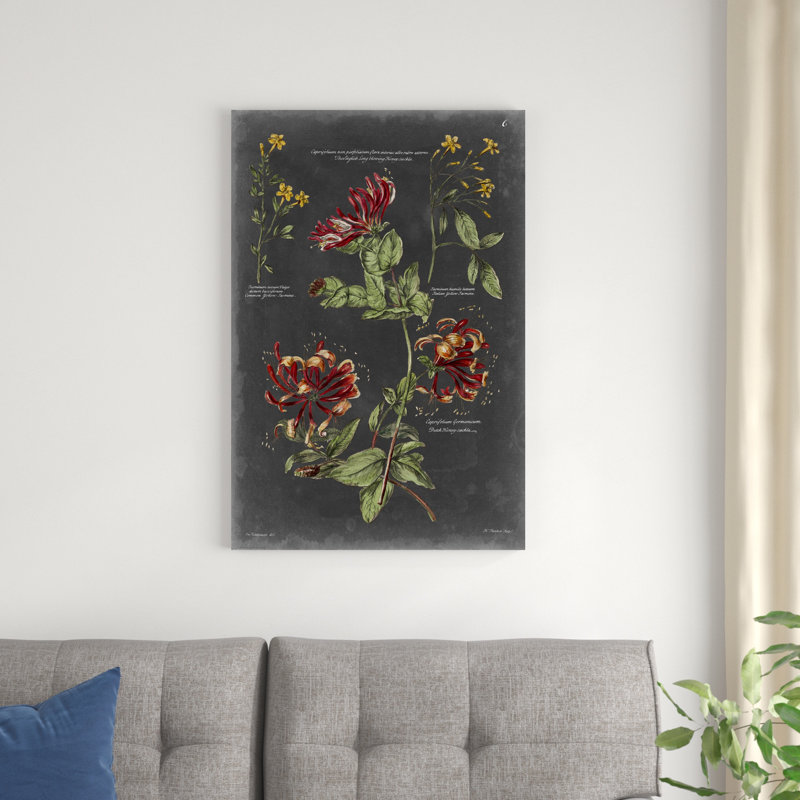Tableau botanique rétro II, H 36 po x l 24 po x P 1,25 po