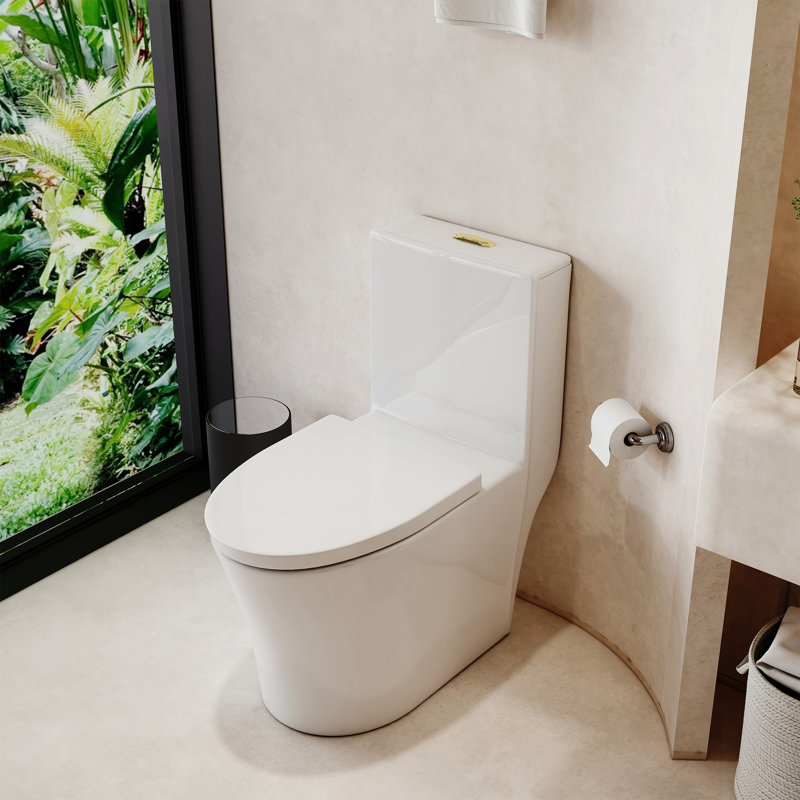 Toilette allongée une pièce à double chasse 1,1 / 1,6 GPF, hauteur confortable, conception économiseur d'eau, CARTE 1000 g