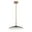 1 luminaire suspendu