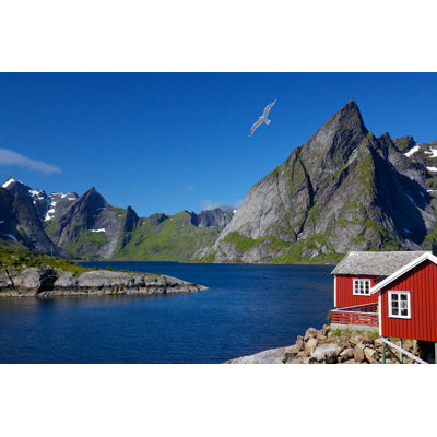 " Lofoten Islands " by Harvepino