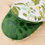 Ensemble de 2 petites mitaines de four FIESTA Luscious Forest, vert jade, 5,5 po x 8 po