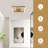 Itohan 11.81" Square Dimmable LED Flush Mount-813042016