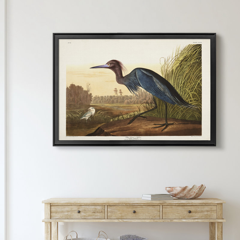 Blue Crane - reproduction d'art sur toile, H 30,5 po x l 42,5 po x P 1,5 po, Noir