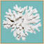 Coral Aqua 3' Framed Photographic Print