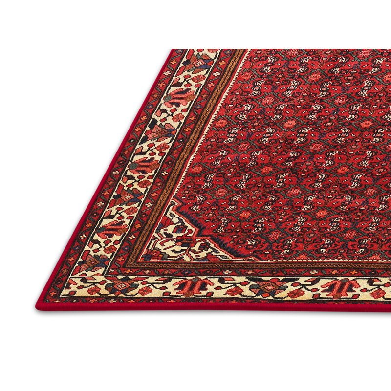 Tapis traditionnel rouge / beige, Rectangle 3 pi x 5 pi