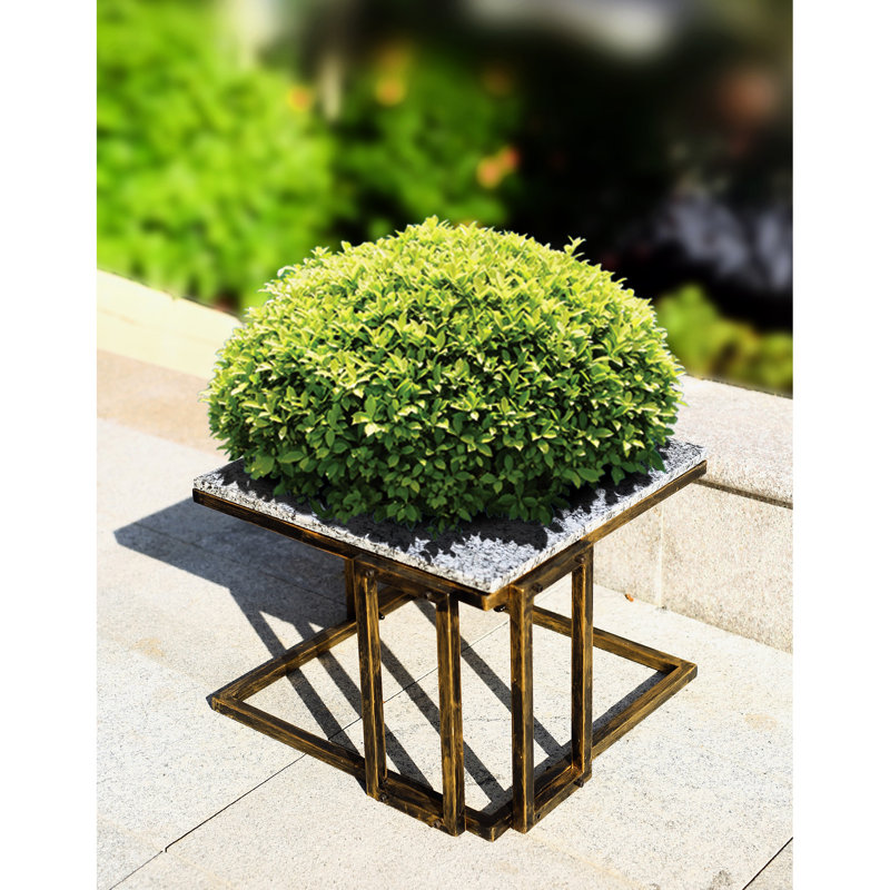 Support pour plante en marbre granit noir / doré 14,5 po
