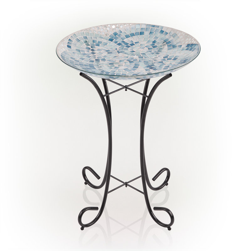 Bain d'oiseaux libellule, Bleu