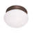  2-Light Ceiling Light in Satin Nickel-26309171-119395835