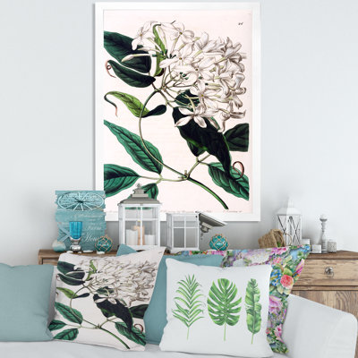 «Vintage Plant Life XXIV», peinture sur toile