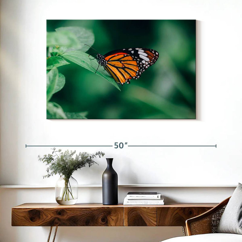 Brampt Orange Butterfly