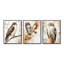 Hawk on the Hunt - Brown Hawk, art mural encadré 3 pièces-129075793-129075798