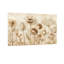 Plantes et fleurs, reproduction d'art floral rétro-1102695525