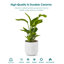 HDHPOT Ceramic Pot Planter