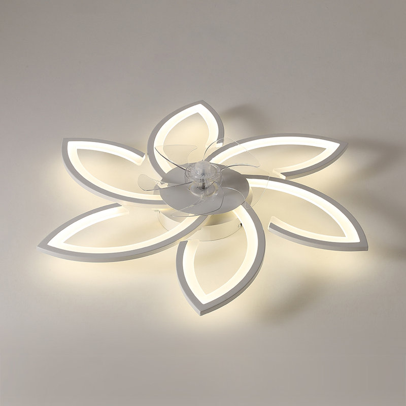 Ceiling Fan with LED Lights