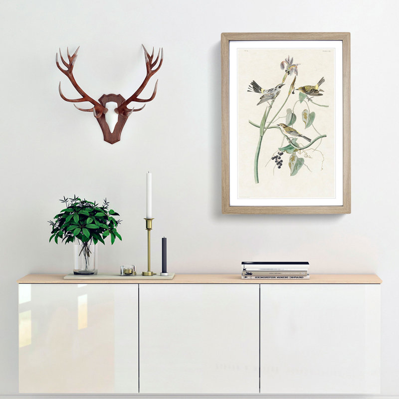 Yellow-Crown Warbler Birds by John James Audubon - Picture Frame Art Print, Oak Framed, 65cm H x 48cm W x 2cm D