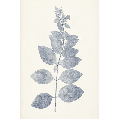 Marine Botanicals IX