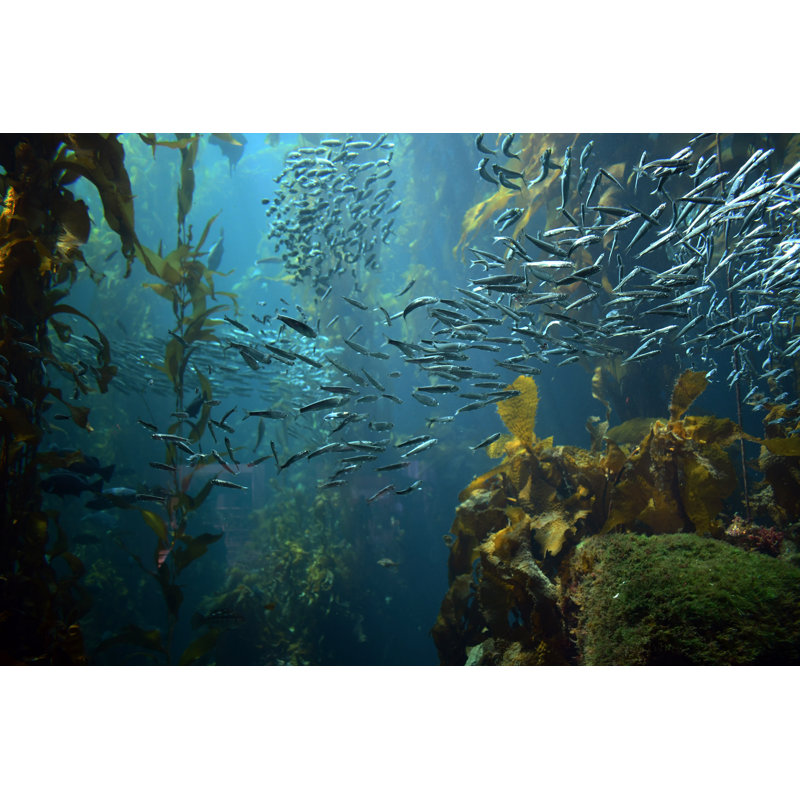 Our Ozone Layer - Wrapped Canvas Print, 51cm H x 76cm W x 3.8cm D