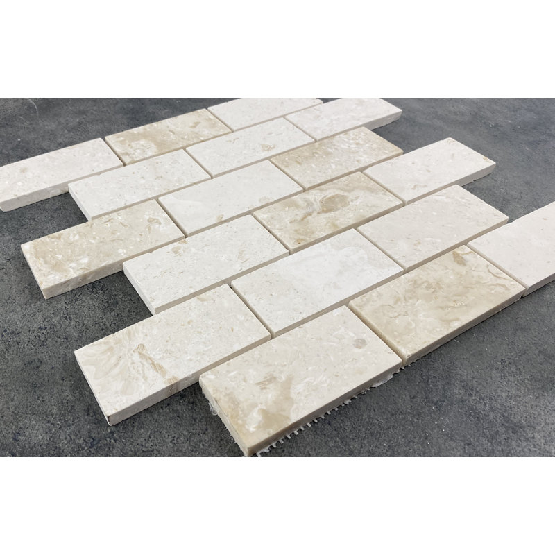 Shellstone 2" x 4" Travertine Mosaic Tile