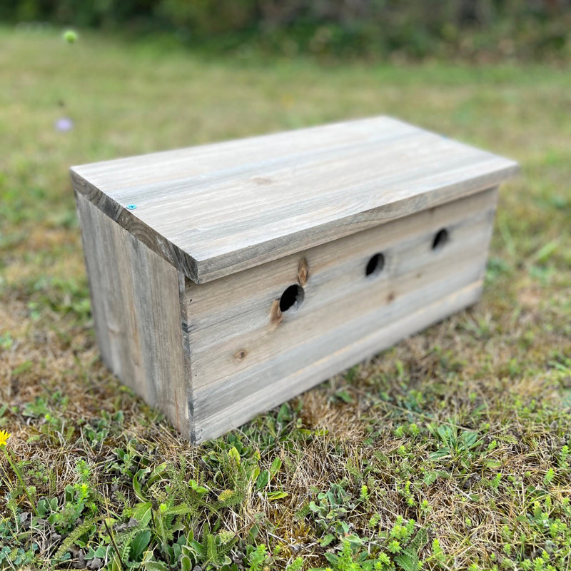 Sparrow Colony Terrace Wooden Mounted Bird House